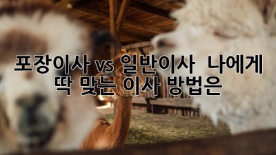 포장이사 vs 일반이사 🤔 나에게 딱 맞는 이사 방법은? 🚚