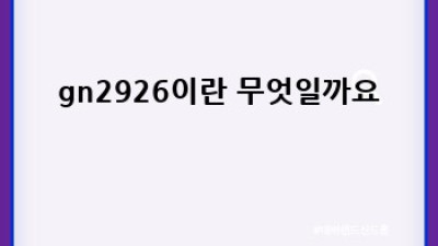 gn2926 후기: 인생템 될 뻔한 사용 후기와 꿀팁!