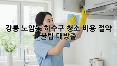 강릉 노암동 하수구 청소, 💰비용 절약 꿀팁 대방출! 🧽