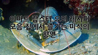 이마트 랍스터 요리 레시피 모음: 집에서 즐기는 미식의 향연!🦞